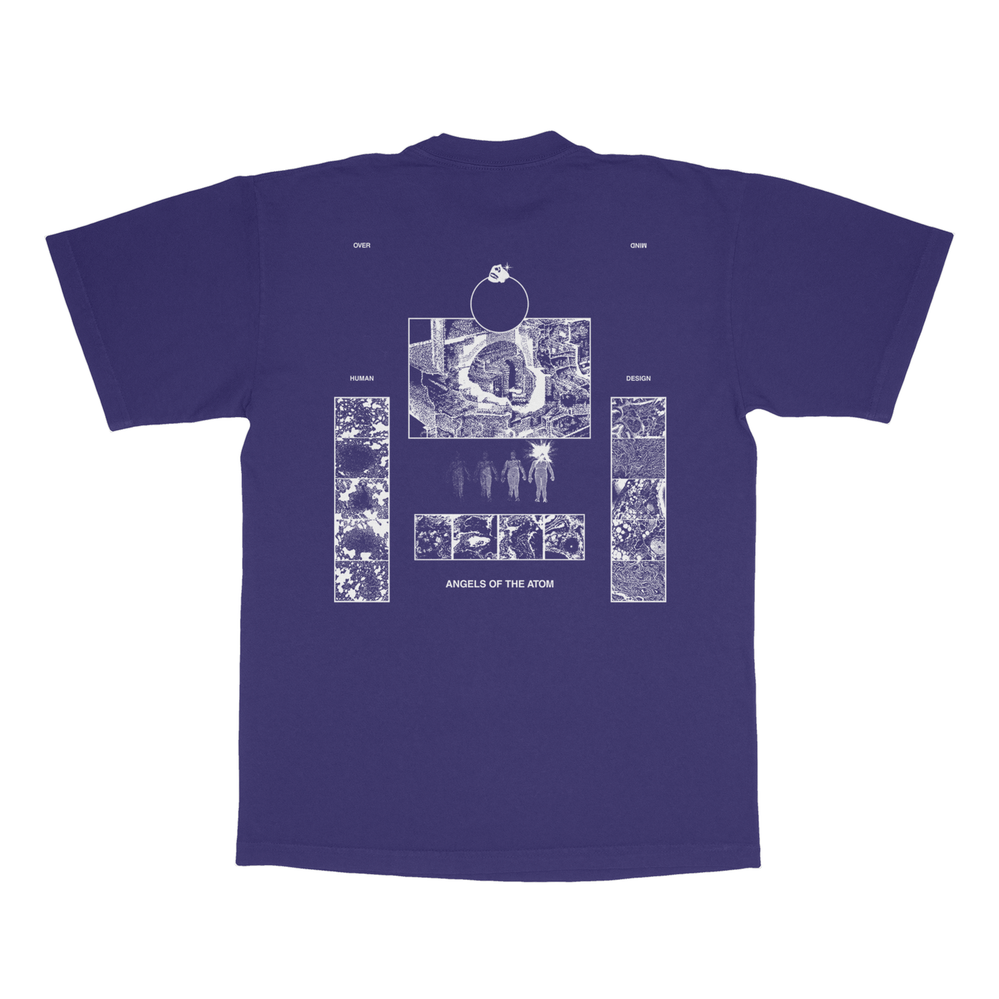 REACTOR : GRAPE