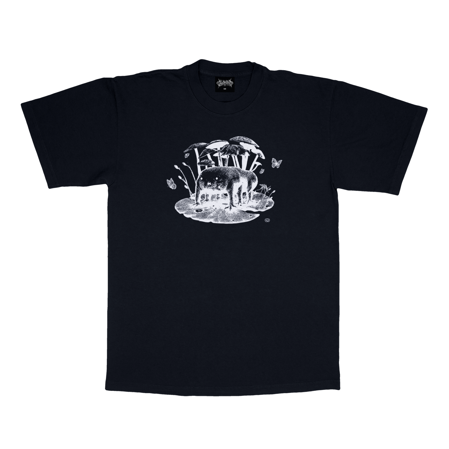 DFF : BLACK