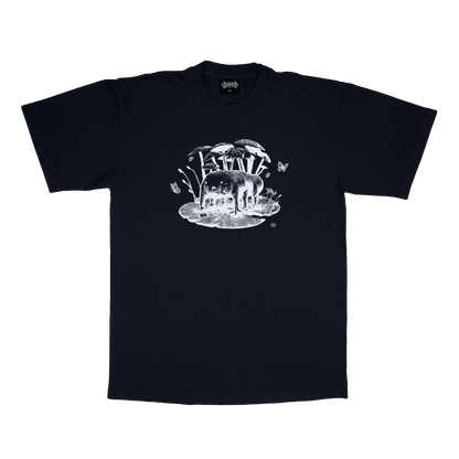 DFF : BLACK