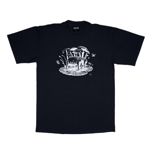 DFF : BLACK