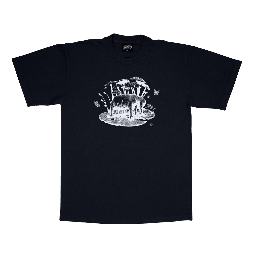 DFF : BLACK