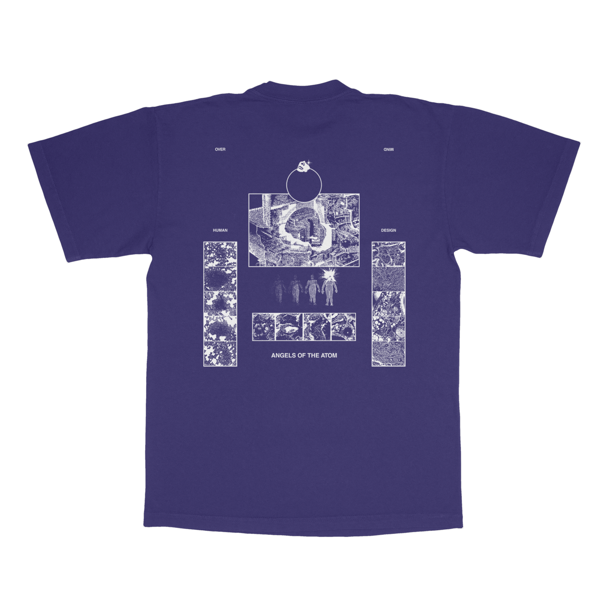 REACTOR : GRAPE