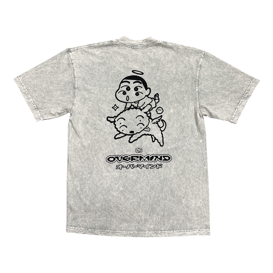 SHIN 3 : CEMENT MINERAL WASH
