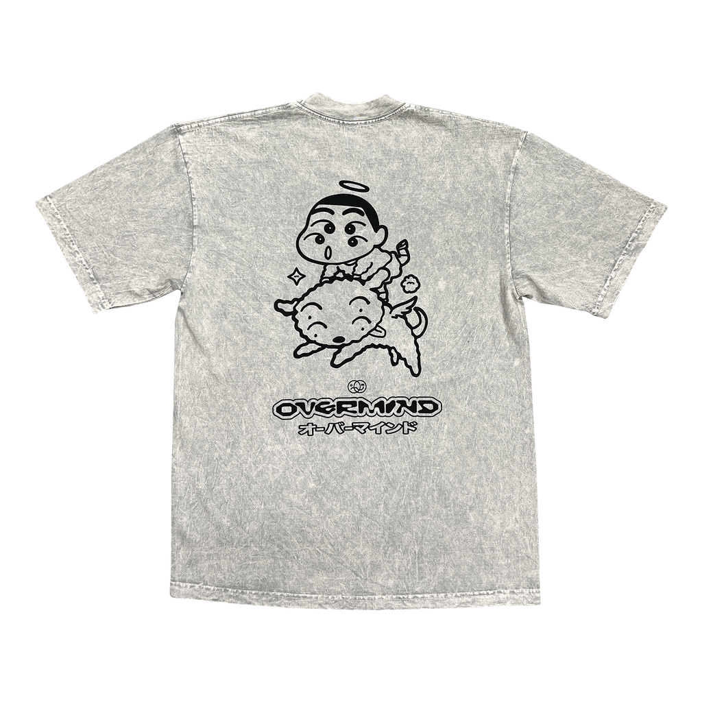 SHIN 3 : CEMENT MINERAL WASH